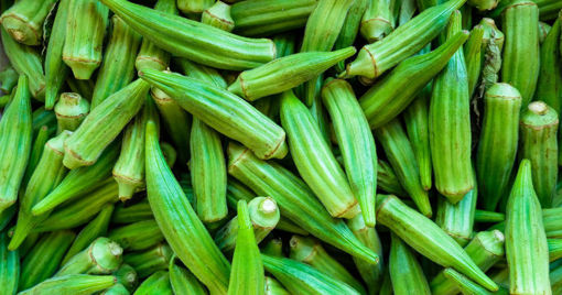 Picture of Okra / Bendi (0.5kg £3.29 / 1 kg £6.19 / 1.5 £8.99)