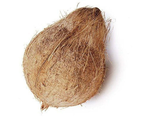 Picture of Coconut with Tail